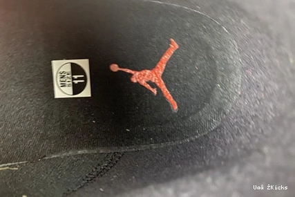 DJ5982- BestValue 807 Air Jordan “Reverse Bred 9327 13 0817